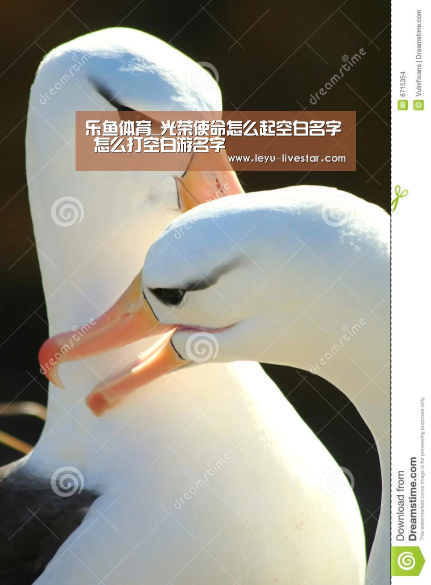 乐鱼体育_光荣使命怎么起空白名字 怎么打空白游名字(图1) 乐鱼体育