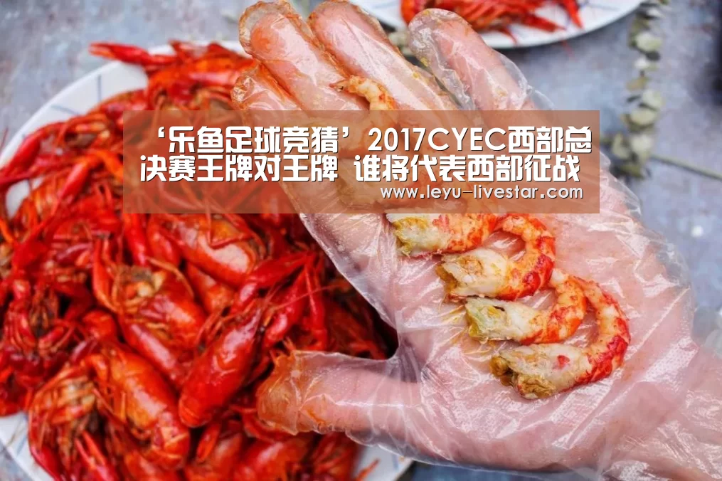 ‘乐鱼足球竞猜’2017CYEC西部总决赛王牌对王牌 谁将代表西部征战全国?(图4) 乐鱼足球竞猜
