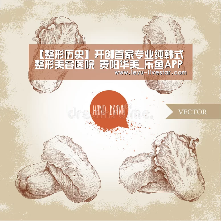 乐鱼官方入口