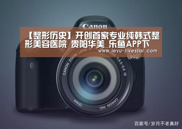 乐鱼官方入口