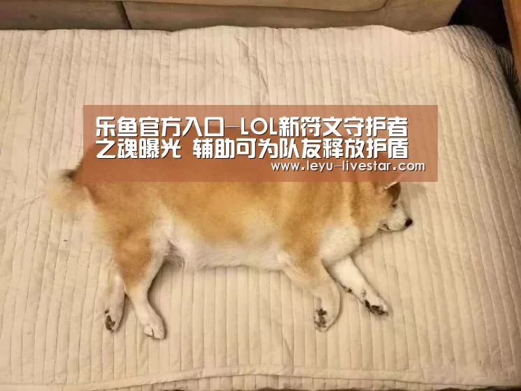 乐鱼官方入口-LOL新符文守护者之魂曝光 辅助可为队友释放护盾(图4) 乐鱼APP下载