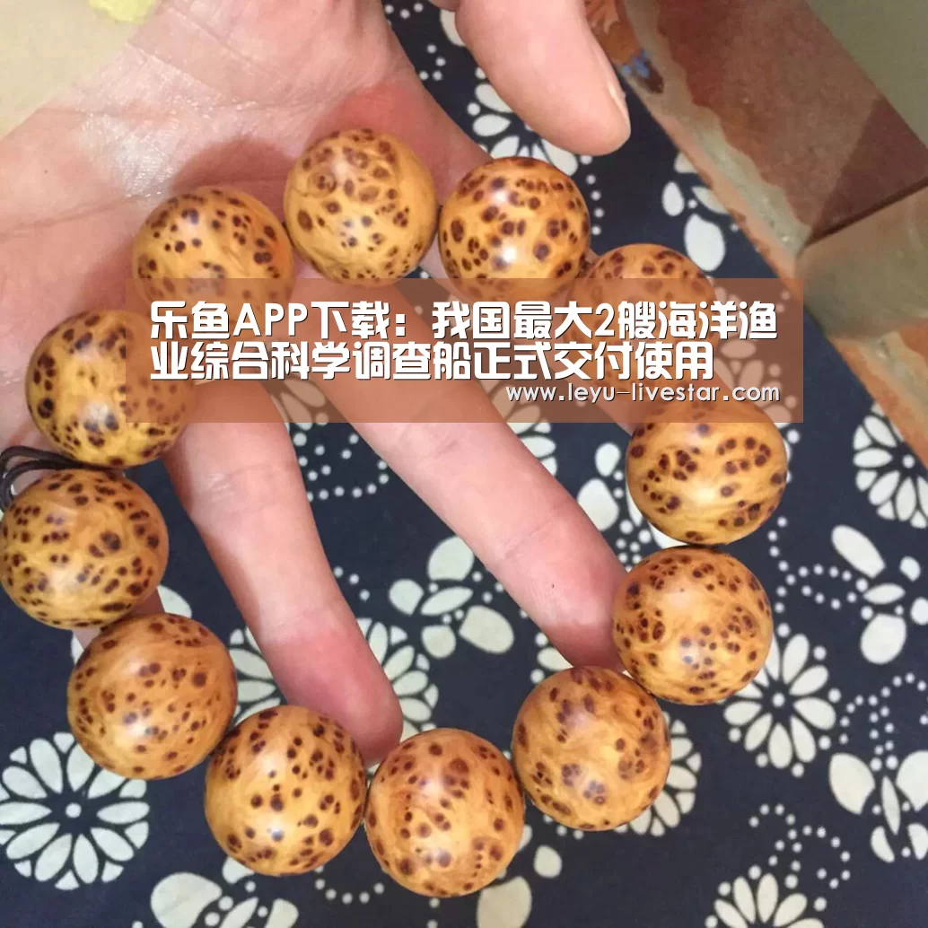 乐鱼APP下载:我国最大2艘海洋渔业综合科学调查船正式交付使用(图2) 乐鱼体育
