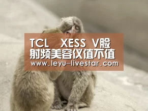 乐鱼APP下载