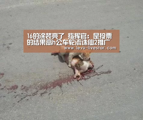 乐鱼官方入口