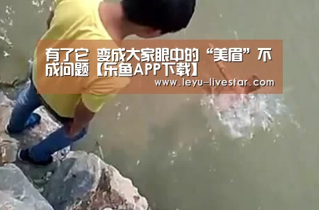 乐鱼官方入口
