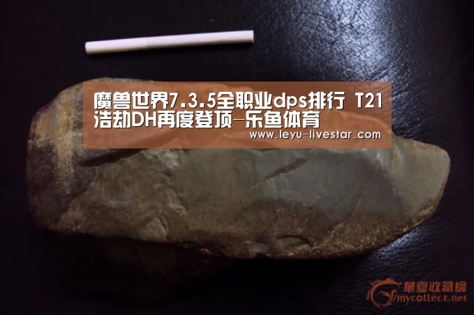 魔兽世界7.3.5全职业dps排行 T21浩劫DH再度登顶-乐鱼体育(图1) 乐鱼APP下载